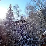 Imperial-4 By Interhome Daire Zermatt